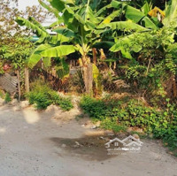 Bán Lô Đất Đường Bê Tông Sau Lưng Ubnd Phước Hòa Và Trường Thcs Phước Hòa, Phú Mỹ