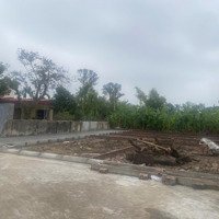 Bán Đất Tại Đường 362, Fo Tại Cạnh Cnn Cẩm Văn, An Lão, Hải Phòng, 445 Triệu, 60M2 Giá Siêu Hời
