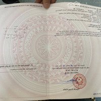 Bán Đất Đấu Giá Gốc Quéo 2 , Ngọc Đình, Xã Hồng Dương, Huyện Thanh Oai, Hà Nội.