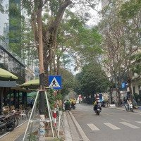 Bán Lô Đất Phân Lô Vip 150M ,Mặt Tiền9.0 Dịch Vọng , Quận Cầu Giấy Hà Nội .Xây Buiding 10 Tầng