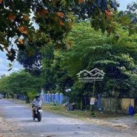 Chủ Kẹt Cứng Tiền Gửi Bán Gấp Lô Đất Phước Thiền Giá Ngợp Thởdiện Tích217M2