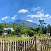 Chính Chủ Cần Chuyển Nhượng 336M Trong Đó Có 150M Thổ Cư Tại Vân Hoà