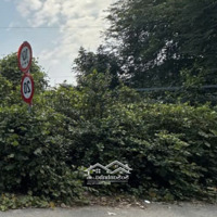 Bán Gấp Đất Tại Phước Thiền, Nhơn Trạch, Đồng Nai 156M2