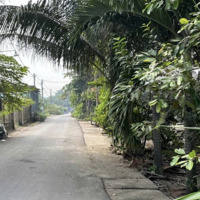 Bán Gấp Đất Tại Phước Thiền, Nhơn Trạch, Đồng Nai 156M2