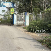 Bán Gấp Đất Tại Phước Thiền, Nhơn Trạch, Đồng Nai 156M2