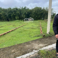 Bán Đất Đường Hồ Chí Minh, 850 Triệu, 107 M2 Tại Đức Hòa Thượng, Long An
