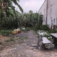 Kẹt Tiền Cần Bán Gấp Đất Hơn 90M2 Khu Phước Thiền