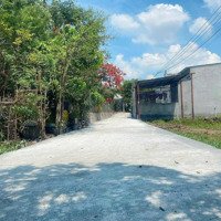 Bán Đất Tại Phường Tân Bình, Dĩ An, Bình Dương, 1,75 Tỷ, 119 M2 Rẻ Nhất Khu Vực