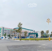 Lô Liền Kề 3 Dự Án Bắc Đầm Vạc, Sẵn Sổ, Vị Trí Đẹp Trung Tâm Tp Vĩnh Yên Giá 43 Tr/M2