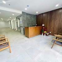 Cho Thuê Văn Phòng Tại Tòa Nhà Airport Building Đường Cửu Long, Tân Bình