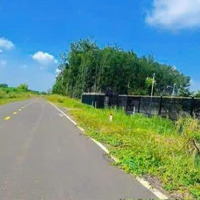 Bán Đất Trung Tâm Bình Phướcdiện Tích1000M . Sổ Sẵn Công Chứng Trong Ngày