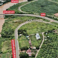 Bán Đất Trung Tâm Bình Phướcdiện Tích1000M . Sổ Sẵn Công Chứng Trong Ngày