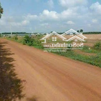 Bán Đất Trung Tâm Bình Phướcdiện Tích1000M . Sổ Sẵn Công Chứng Trong Ngày