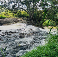 Bán 1Ha2 Đất Giáp Suối Và Thác Nước Trong Đất Ngay Sân Bay Liên Khương