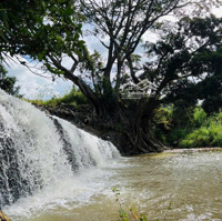 Bán 1Ha2 Đất Giáp Suối Và Thác Nước Trong Đất Ngay Sân Bay Liên Khương