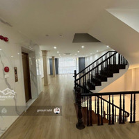Bán Nhà Mặt Phố Hoàng Cầu, 29 Tỷ, 56 M2, View Hồ Đẹp, Phân Lô, Ô Tô, Kinh Doanh Sầm Uất