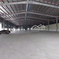 _Cho Thuê 6500M2 Tại Kiến An Nhà Xưởng 3200M2. Phòng Cháy Đầy Đủ. Có Vp. Nhà Xe Cnv.. Bãi Xe Cont