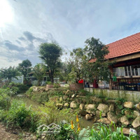 Bán 2 Sào 5 Đất View Suối Làm Khu Nghĩ Dưỡng Tân Định, Bến Cá,T Bình Dương, 2 Tỷ