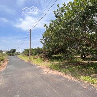 Bán Đất Hòa Hội Xuyên Mộc Vị Trí Gần Ủy Ban, Đường Lớn, 2 Ô Tô Tránh Nhau