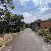 Bán Đất Hòa Hội Xuyên Mộc Vị Trí Gần Ủy Ban, Đường Lớn, 2 Ô Tô Tránh Nhau