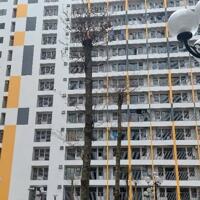 Dự án nhà ở xã hội Evergeen Tràng Duệ
