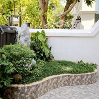 Cho Thuê Gấp Biệt Thự 5 Phòng Ngủ 4 Vệ Sinh 230M2 Tại Ciputra, Tây Hồ, Hà Nội, 90 Triệu Vnd