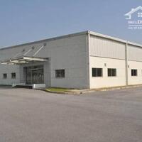 Cần Bán Nhà Xưởng Tại Tân Hiệp Tân Uyên Bình Dương Giá Đầu Tư Siêu Lợi Nhuận