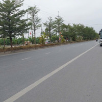 Bán Lô Đất Đấu Giá Khu Xương Cá. Trung Tâm Thị Trấn Kim Bài.diện Tích77.4M2,Mặt Tiền4,3M, Đường Rộng 7M