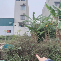 Bán Lô Đất Đấu Giá Khu Xương Cá. Trung Tâm Thị Trấn Kim Bài.diện Tích77.4M2,Mặt Tiền4,3M, Đường Rộng 7M