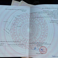 Duy Nhất - Lô Đất Đường Thông 5M - Kinh Doanh Đỉnh. Vị Trí: Phường Thủy Đường, Thủy Nguyên