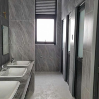 Cho Thuê Kho Xưởng 16.000M2 Kcn Tân Đức Tân Đô Hải Sơn, Long An, Xưởng Mới, Giá Tốt Nhất Khu Vực
