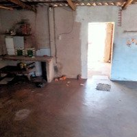 Cho Thuê Nhà Tân Bình, La Gi, Bình Thuận