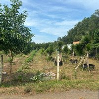 Bán Lô Đất Đẹp Gần Sân Bay Long Thành - Sổ Đỏ Chính Chủ