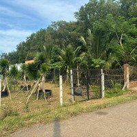 Bán Lô Đất Đẹp Gần Sân Bay Long Thành - Sổ Đỏ Chính Chủ
