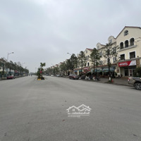 Chính Chủ Bán Nhanh Shophouse Vistalago Nam An Khánh- Diện Tích: 188M Trục Chính Đường Đôi 39M.giá Chỉ 3X Tỷ