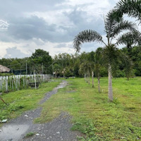 Bán Đất Nền 14.000M2 Tại Đường 101, An Nhơn Tây, Củ Chi, Hcm, Giá Bán 3,4 Triệu/M2, View Đẹp