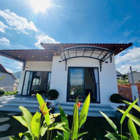 Căn Nhà Nghỉ Dưỡng View Rừng Thông Siêu Đẹp