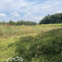 Cần Bán Đất 6000 M2 Đất Sản Xuất Phi Nông Nghiệp Đóng Thuế 30 Năm Giá Bán 20 Tỷ Liên Hệ: 0978627886