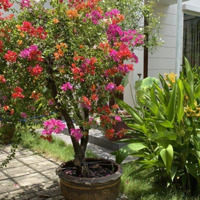 Cho Thuê Biệt Thự Khu Đô Thị Yên Hòa- Đường Trần Kim Xuyến- Cầu Giấy,Diện Tích160M2, 3,5 Tầng. Giá 70 Triệu