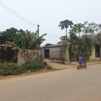 Chính Chủ Bán 181M2 Ô Góc Full Thổ Cư Mặt Đường Yên Thái, Xã Đông Yên, Huyện Quốc Oai, Hà Nội