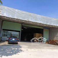 Cần Bán Cái Kho 1000 M2 Đang Cho Thuê 50 Triệu Trên Một Tháng 20 Tỷ Tân Hiệp Tân Uyên Bình Dương