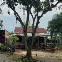 Cần Bán Lô Vườn Lộ 25 Cách Sân Bay 9Km Giá Ngộp