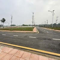 Cần Tiền Gấp Chính Chủ Bán Lô Đất Tại Tt Quất Lâm. Giá 10 Triệu/M2 Lô Góc 2 Mặt Tiền, Đường Lớn