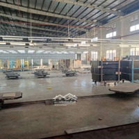 Cho Thuê Nhà Xưởng Trong Kcn Bình Dương