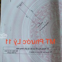 Bá Đất Mặt Tiền Đường Phước Lý 11 7M5 Khu Phước Lý - Hoà Minh - Liên Chiểu