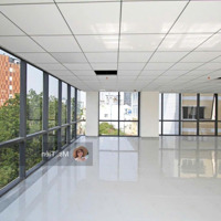 Bán Tòa Nhà Vp Mặt Tiền Bạch Đằng, P2 Tân Bình, Diện Tích 7X28M, Hầm 7 Tầng, Chỉ 58 Tỷ