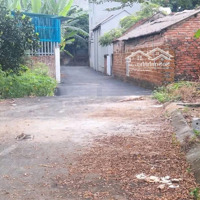 Đất Tân Xã Giá Rẻ Còn Đường Thông, Giáp Trục Chính Thôn Rộng 13M 500M Về Vàng Đai Công Nghệ Cao