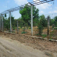 Bán Khu Vườn Trái Cây Nghỉ Dưỡng Phú An Bến Cát Tỉnh Bình Dương. Dt: 9.609 M2