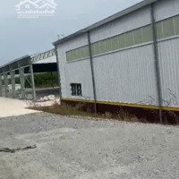 Bán Xưởng Mới Giá Ngộp Bất Ngờ Xưởng Tân Định Bắc Tân Uyên Bình Dương