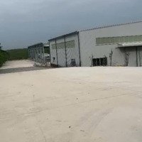 Bán Xưởng Mới Giá Ngộp Bất Ngờ Xưởng Tân Định Bắc Tân Uyên Bình Dương